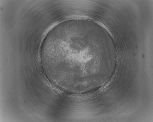 X0000071851074200607141744