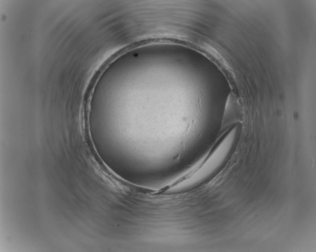 X0000071851076200607141744