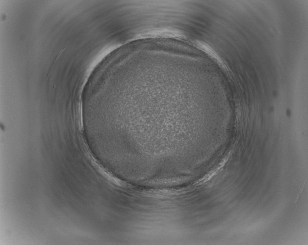 X0000071851079200607141744