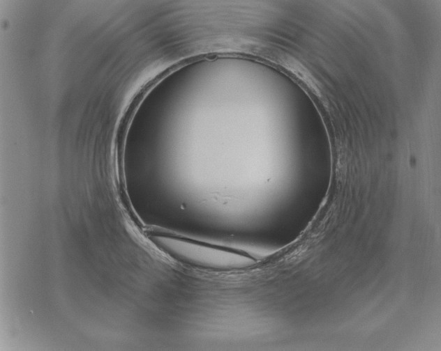 X0000071851080200607141744