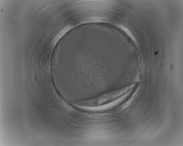 X0000071851081200607141744