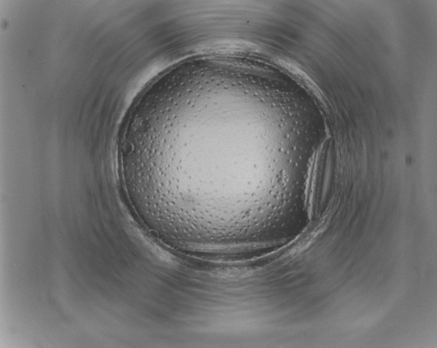 X0000071851083200607141744