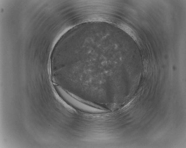 X0000071851084200607141744