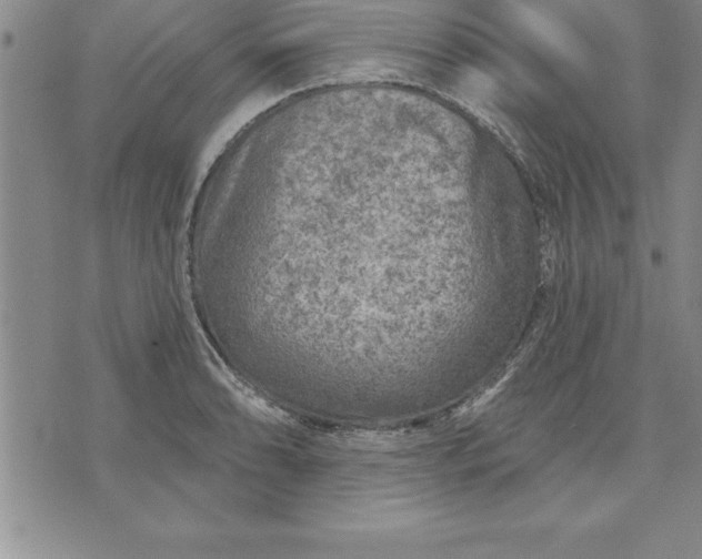 X0000071851086200607141744