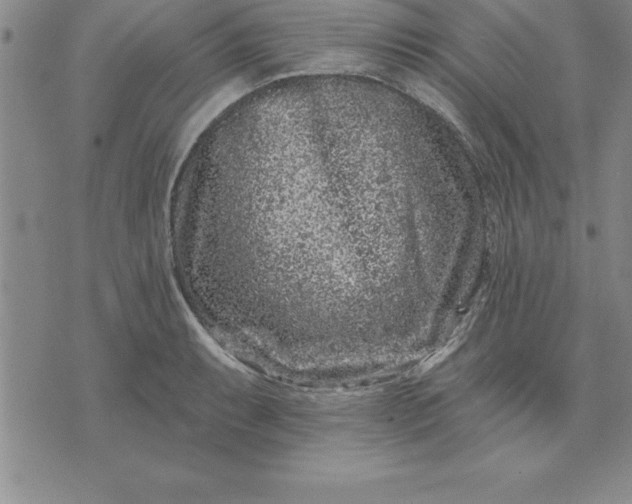 X0000071851087200607141744