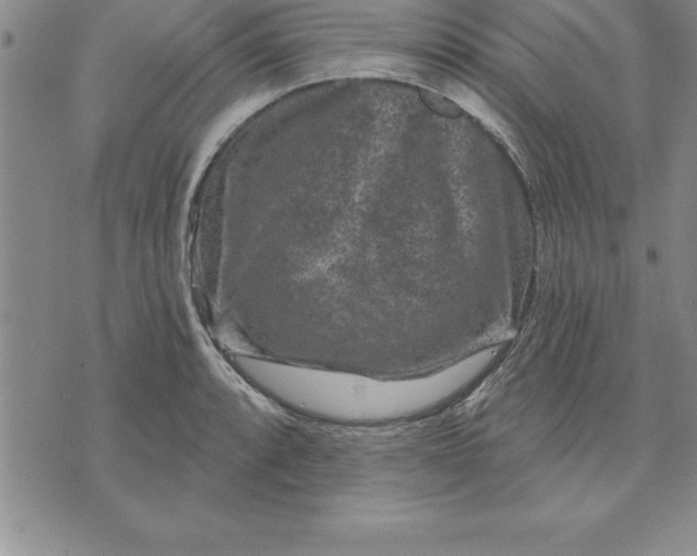 X0000071851088200607141744