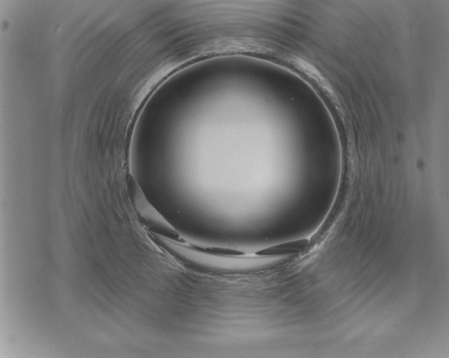 X0000071851089200607141744