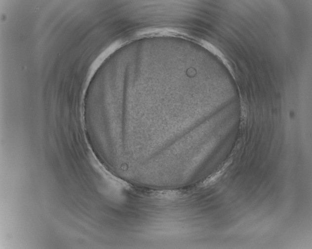 X0000071851090200607141744