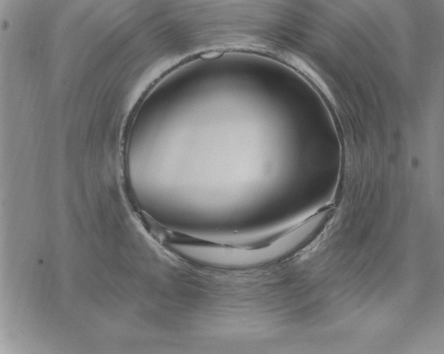 X0000071851093200607141744