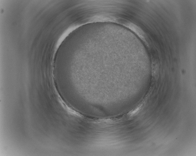 X0000071851094200607141744