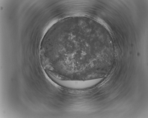 X0000071851095200607141744