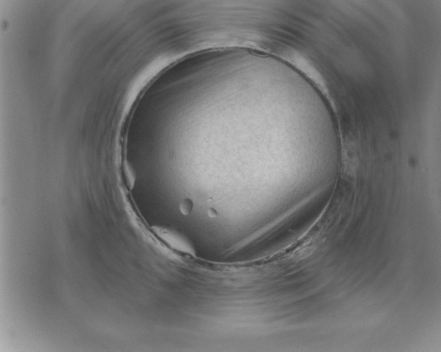 X0000071851096200607141744