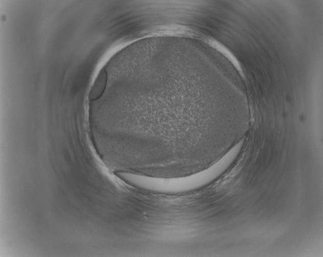 X0000071851099200607141744