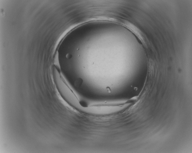 X0000071851100200607141744