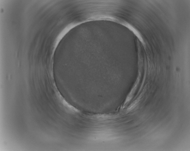 X0000071851102200607141744