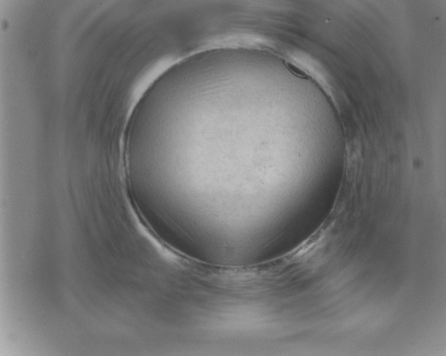 X0000071851103200607141744