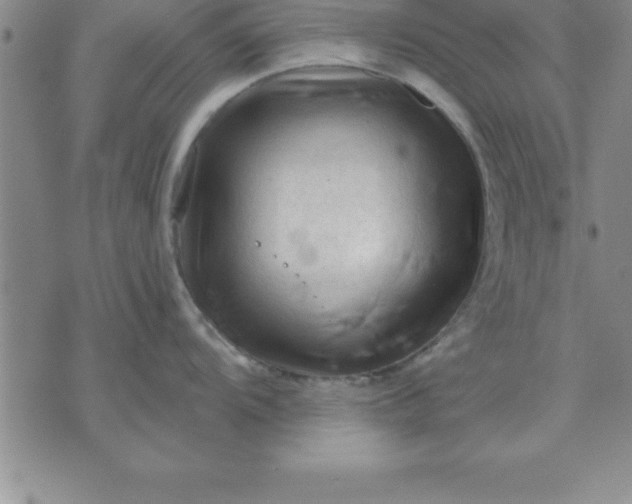 X0000071851104200607141744