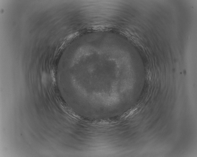 X0000071851106200607141743