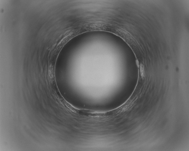 X0000071851107200607141743