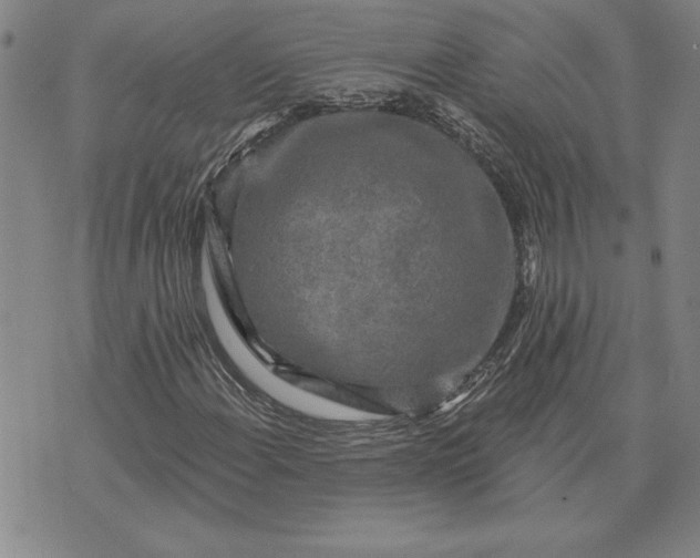 X0000071851108200607141743