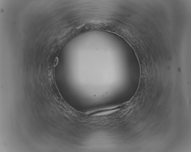 X0000071851109200607141743