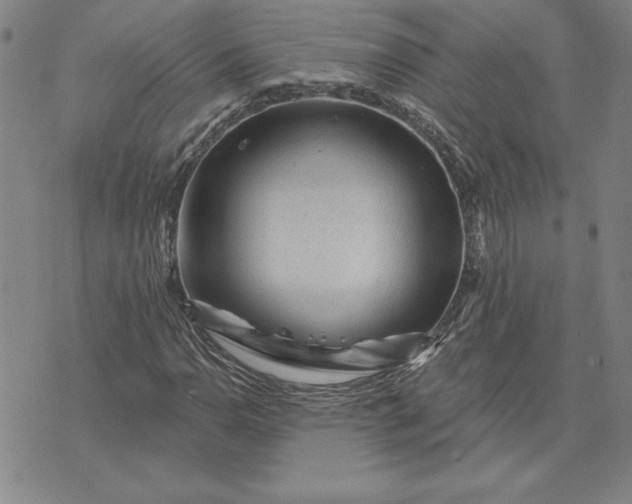 X0000071851110200607141743