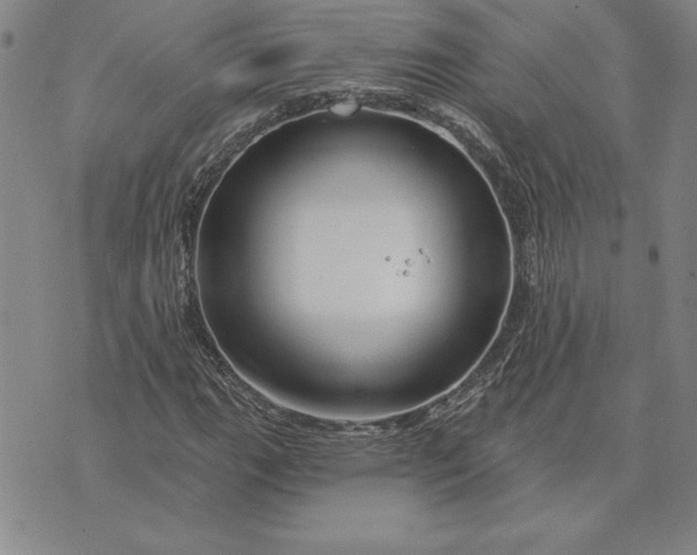 X0000071851111200607141743