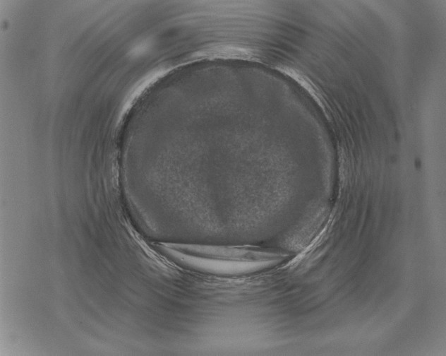 X0000071851115200607141743