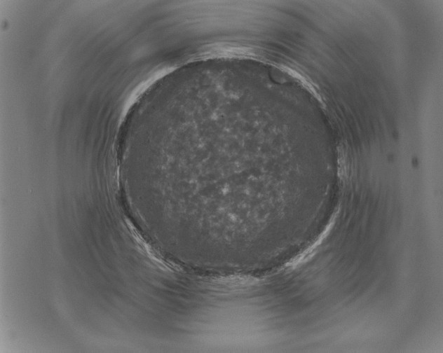 X0000071851117200607141743