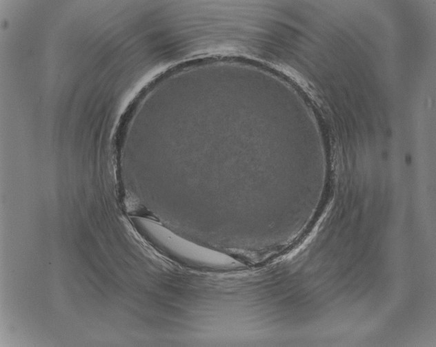 X0000071851118200607141743