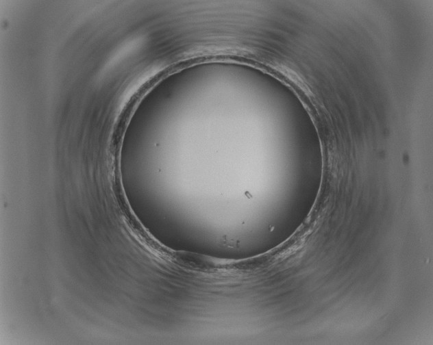 X0000071851119200607141743