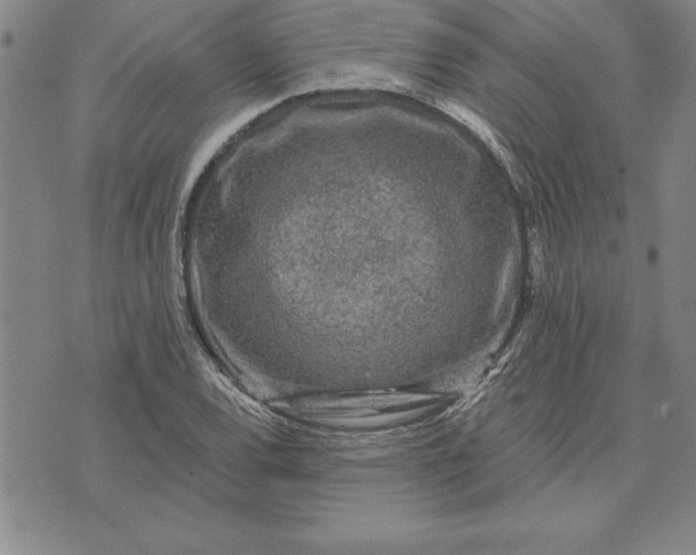 X0000071851120200607141743