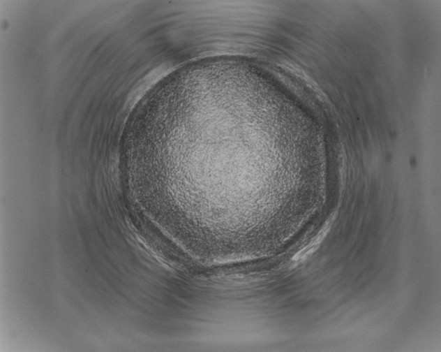 X0000071851121200607141743