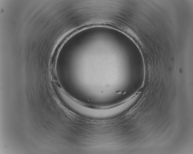 X0000071851124200607141743