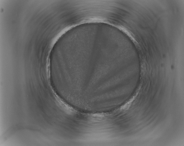 X0000071851126200607141743