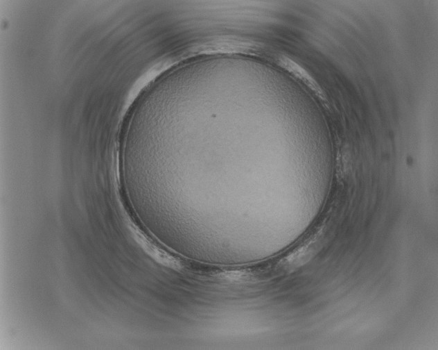 X0000071851130200607141743