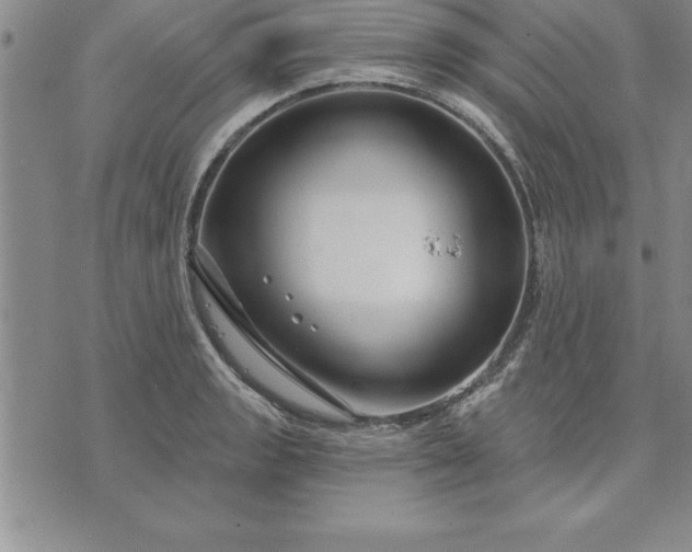 X0000071851133200607141743