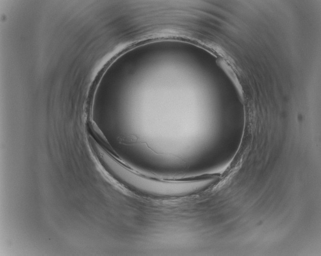 X0000071851134200607141743