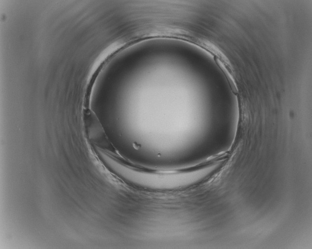 X0000071851138200607141744