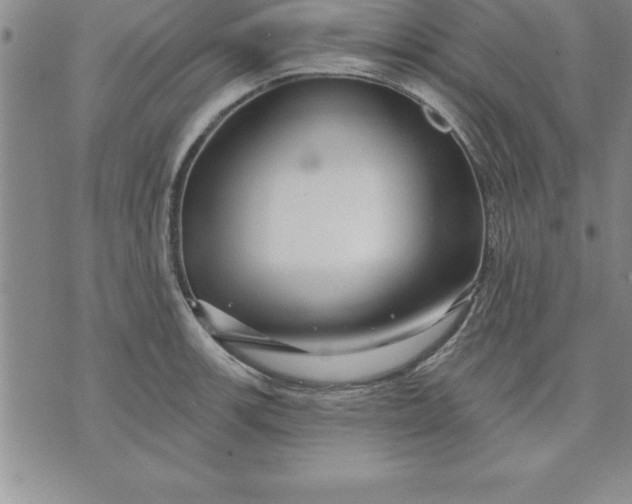 X0000071851139200607141744