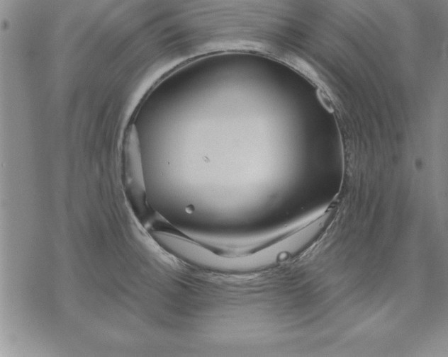 X0000071851140200607141744