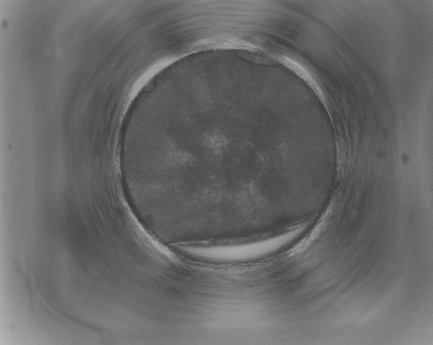 X0000071851141200607141744