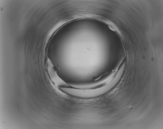 X0000071851143200607141744