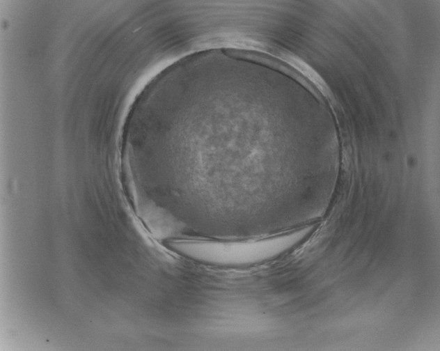 X0000071851144200607141744