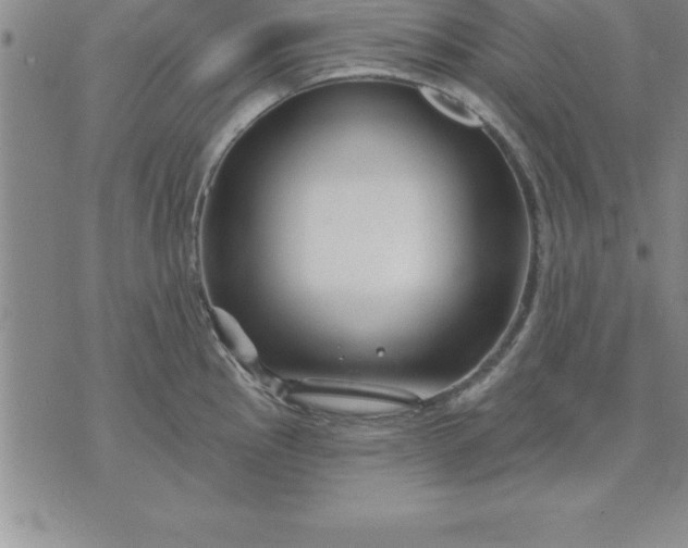 X0000071851145200607141744