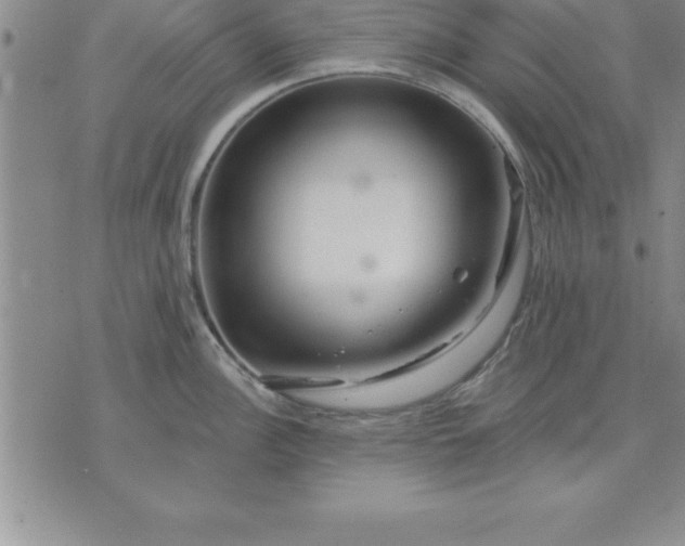 X0000071851148200607141744