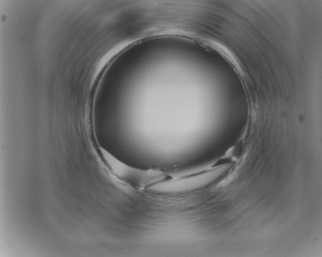 X0000071851149200607141744