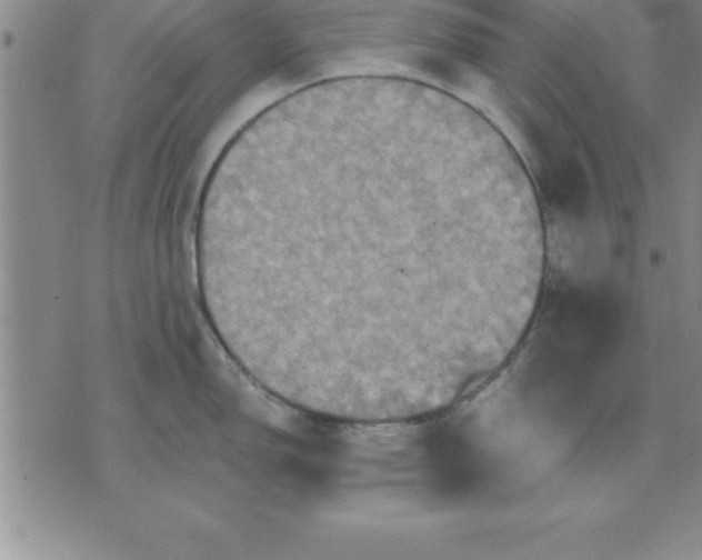 X0000071851150200607141744