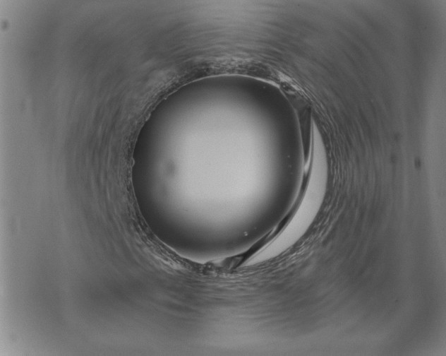 X0000071851153200607141743