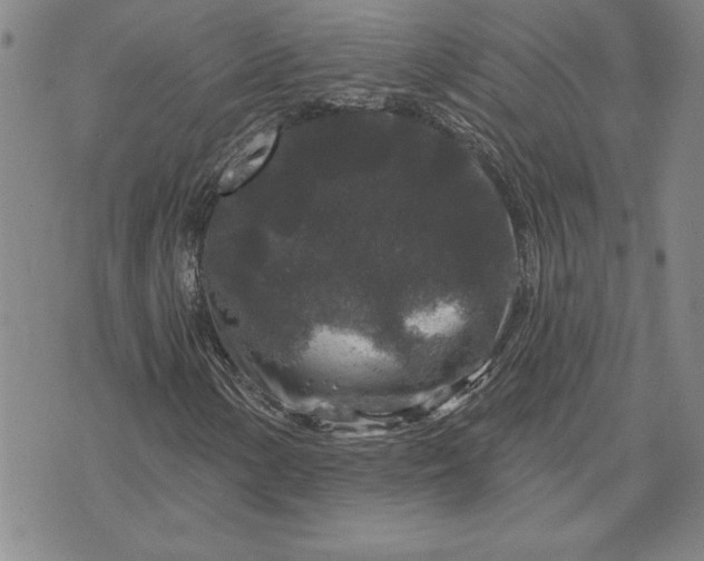 X0000071851154200607141743